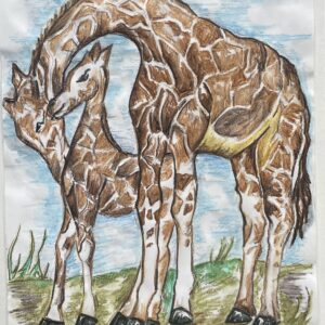 Giraffe pen and pencil original drawing