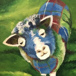 Tartan sheep